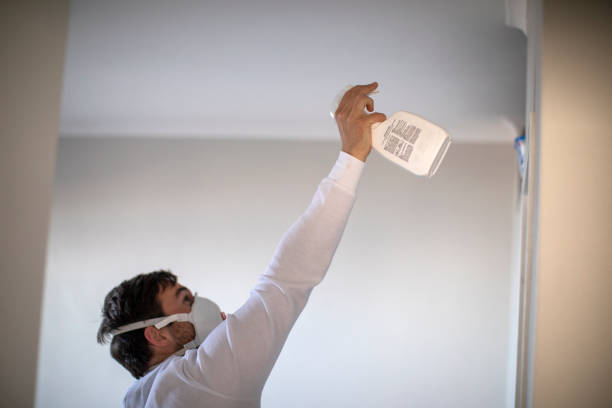 Best Crawl Space Mold Removal  in Kent City, MI
