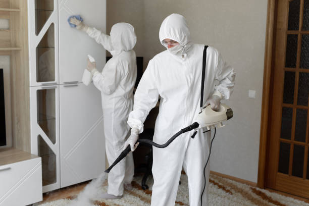 Office Mold Removal Services in Kent City, MI